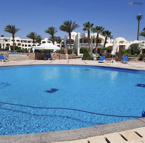 Отзывы об отеле Romance Regency Club 5* (Шарм .